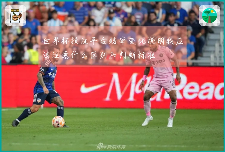 世界杯投注平台赔率变化说明我应该注意什么区别和判断标准